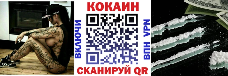 купить закладку Олонец Cocaine Fish Scale
