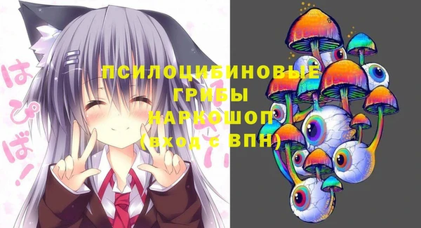 молекула духа Нея
