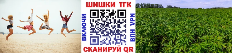 Конопля ГИДРОПОН  Олонец 